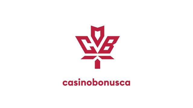 Zahlungsmethoden Online -Casino